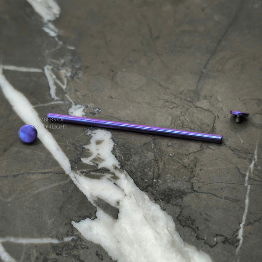 Flat End Industrial Scaffold Cartilage Barbell